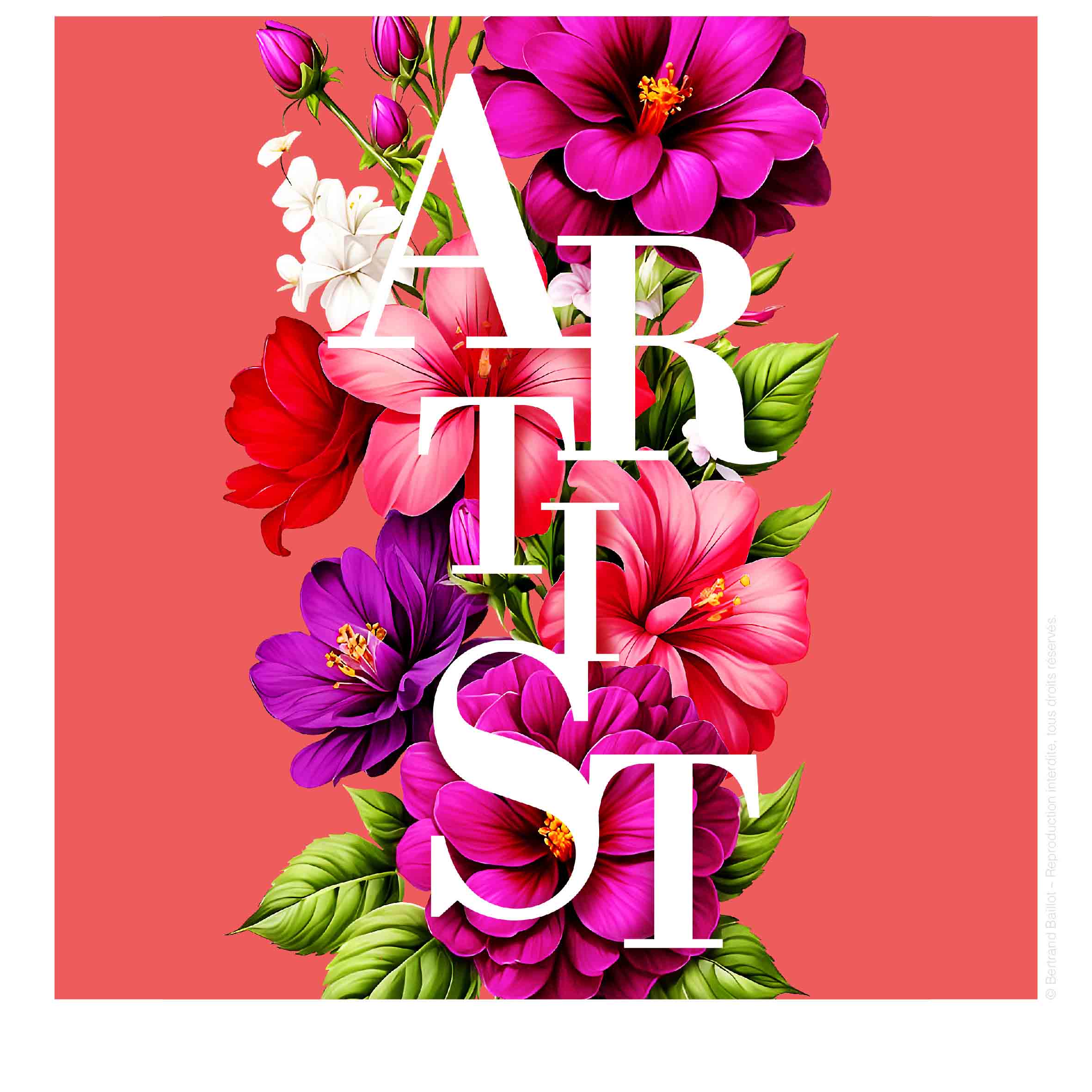 Bertrand Baillot Artist Graphic Design