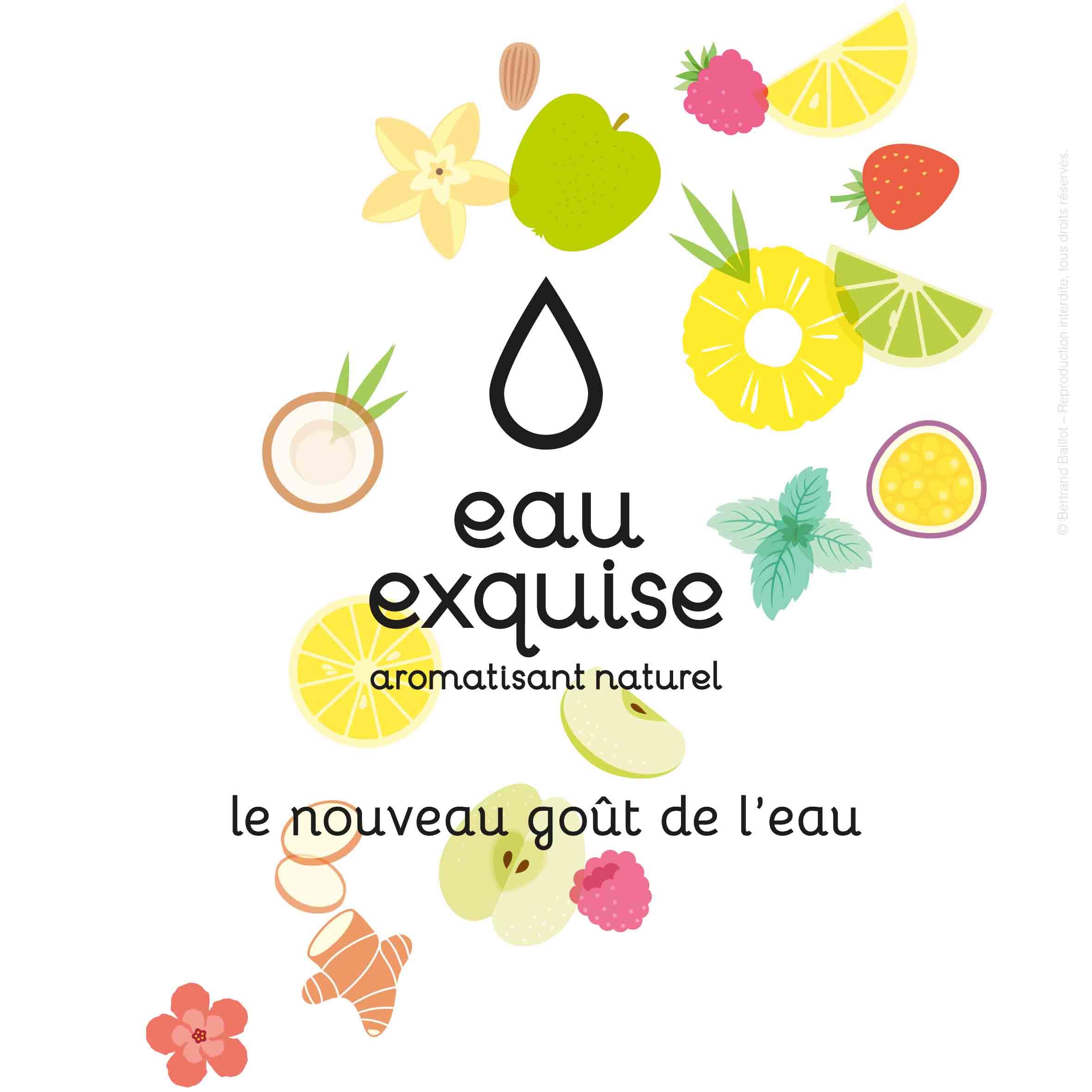 Bertrand Baillot Eau Exquise Logotype